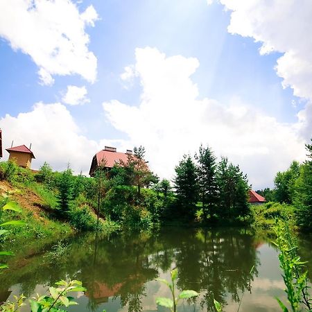 Skhidnytsia Villa Buhiv المظهر الخارجي الصورة