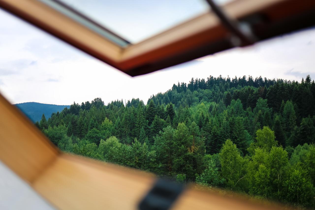 Skhidnytsia Villa Buhiv المظهر الخارجي الصورة